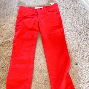 Hollister women #3 W26 Pant NWT